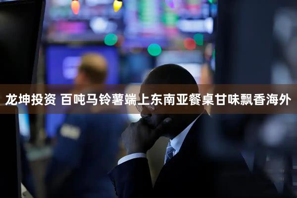 龙坤投资 百吨马铃薯端上东南亚餐桌　甘味飘香海外