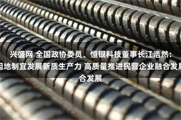 兴盛网 全国政协委员、恒银科技董事长江浩然：因地制宜发展新质生产力 高质量推进民营企业融合发展