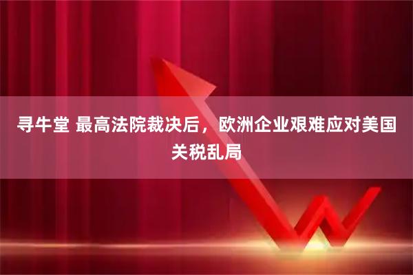 寻牛堂 最高法院裁决后，欧洲企业艰难应对美国关税乱局