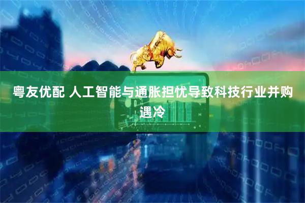 粤友优配 人工智能与通胀担忧导致科技行业并购遇冷