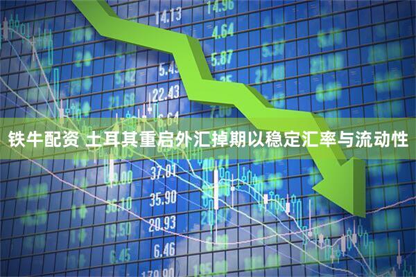 铁牛配资 土耳其重启外汇掉期以稳定汇率与流动性