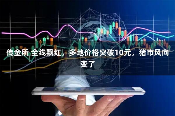 传金所 全线飘红，多地价格突破10元，猪市风向变了