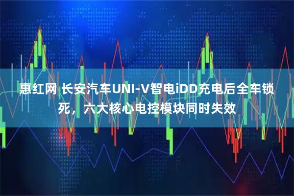 惠红网 长安汽车UNI-V智电iDD充电后全车锁死，六大核心电控模块同时失效
