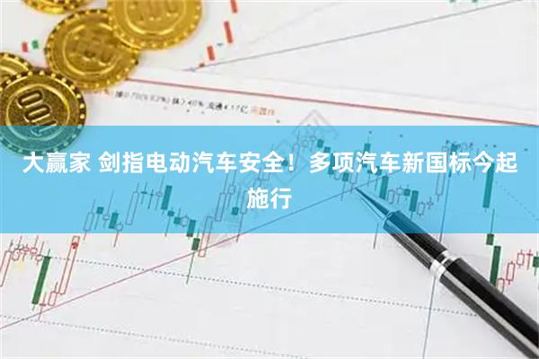 大赢家 剑指电动汽车安全！多项汽车新国标今起施行