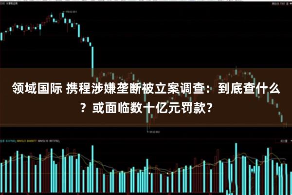 领域国际 携程涉嫌垄断被立案调查：到底查什么？或面临数十亿元罚款？