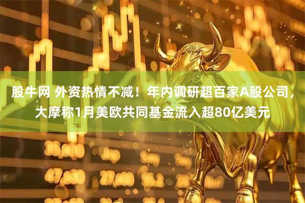 股牛网 外资热情不减！年内调研超百家A股公司，大摩称1月美欧共同基金流入超80亿美元