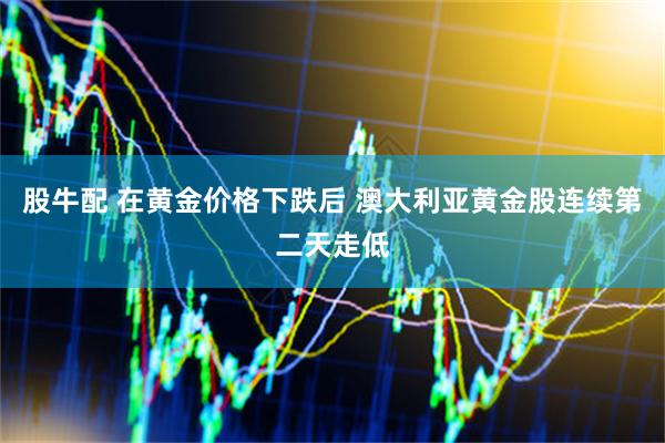 股牛配 在黄金价格下跌后 澳大利亚黄金股连续第二天走低