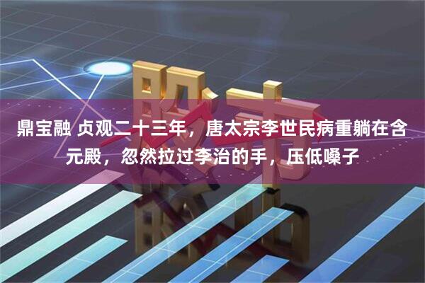 鼎宝融 贞观二十三年，唐太宗李世民病重躺在含元殿，忽然拉过李治的手，压低嗓子