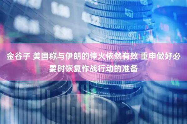 金谷子 美国称与伊朗的停火依然有效 重申做好必要时恢复作战行动的准备